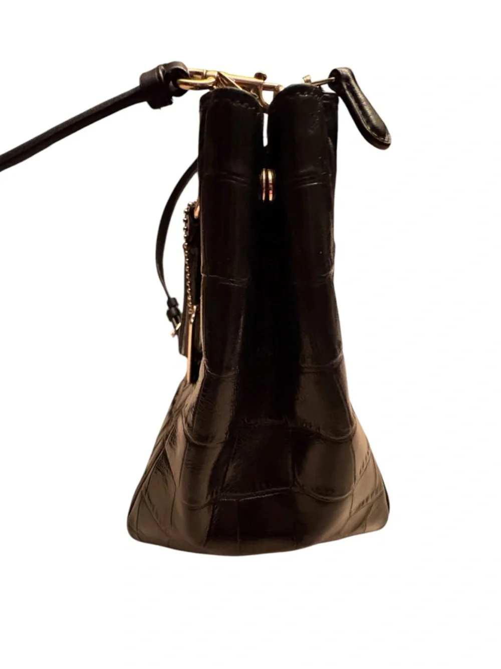 Coach surrey carryall